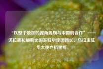 “以整个地区的视角规划与中国的合作”——访拉美和加勒比国家驻华使团团长、乌拉圭驻华大使卢格里斯