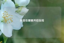 抖音在哪里开启在线