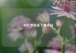 小红书业务下单平台