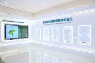 周期里扎根，贝泰妮的生长曲线