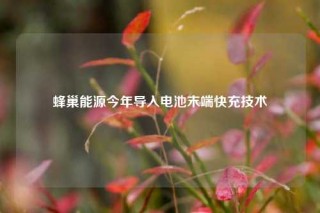 蜂巢能源今年导入电池末端快充技术