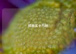 抖音买十万粉