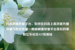 抖音刷播放量平台，如何在抖音上高效提升播放量与粉丝数量—揭秘刷播放量平台背后的策略亿乐社区SUP货源站