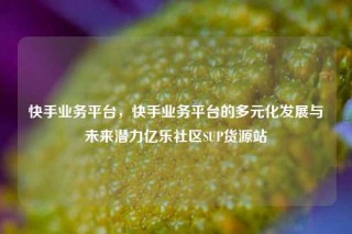 快手业务平台，快手业务平台的多元化发展与未来潜力亿乐社区SUP货源站
