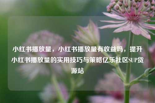 小红书播放量，小红书播放量有收益吗	，提升小红书播放量的实用技巧与策略亿乐社区SUP货源站  第1张