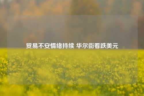 贸易不安情绪持续 华尔街看跌美元  第1张