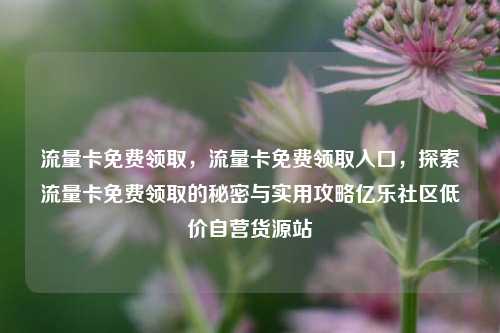 流量卡免费领取	，流量卡免费领取入口，探索流量卡免费领取的秘密与实用攻略亿乐社区低价自营货源站  第1张