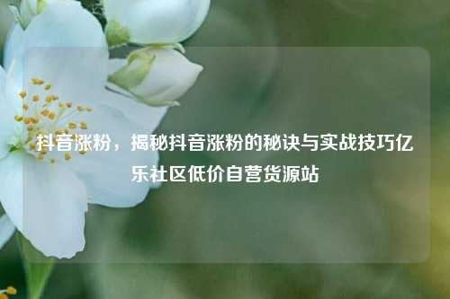 抖音涨粉	，揭秘抖音涨粉的秘诀与实战技巧亿乐社区低价自营货源站  第1张