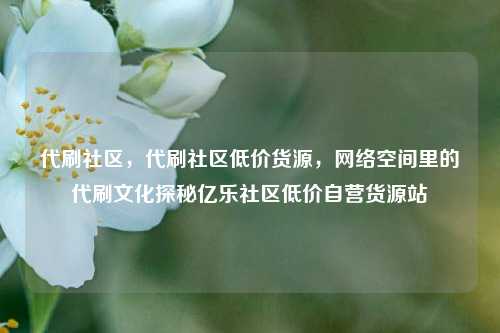 代刷社区	，代刷社区低价货源，网络空间里的代刷文化探秘亿乐社区低价自营货源站  第1张