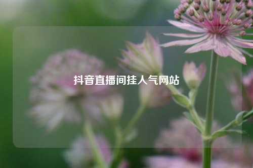 抖音直播间挂人气网站  第1张
