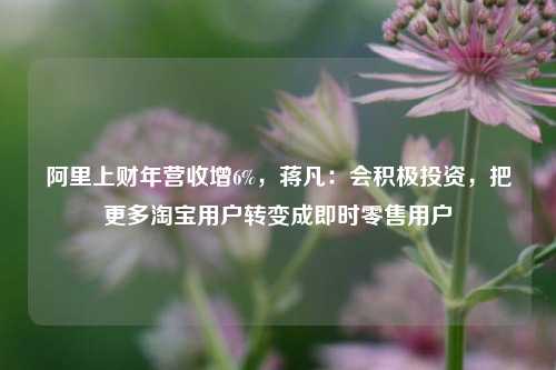 阿里上财年营收增6%，蒋凡：会积极投资，把更多淘宝用户转变成即时零售用户  第1张