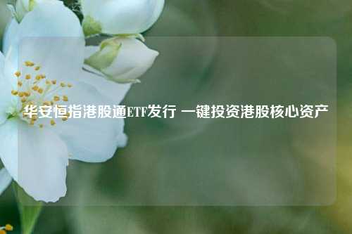 华安恒指港股通ETF发行 一键投资港股核心资产  第1张