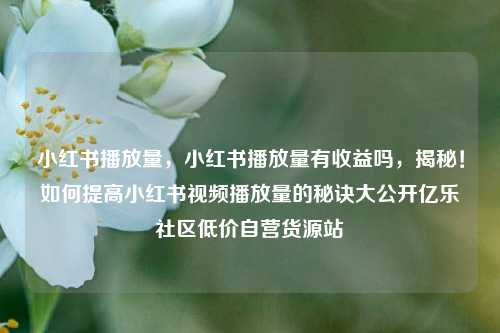 小红书播放量	，小红书播放量有收益吗，揭秘！如何提高小红书视频播放量的秘诀大公开亿乐社区低价自营货源站  第1张