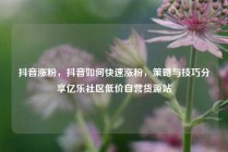 抖音涨粉，抖音如何快速涨粉，策略与技巧分享亿乐社区低价自营货源站