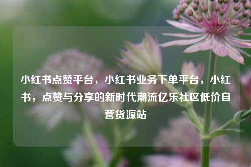 小红书点赞平台，小红书业务下单平台，小红书	，点赞与分享的新时代潮流亿乐社区低价自营货源站  第1张