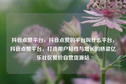 抖音点赞平台，抖音点赞的平台叫什么平台	，抖音点赞平台，打造用户粘性与增长的桥梁亿乐社区低价自营货源站  第1张